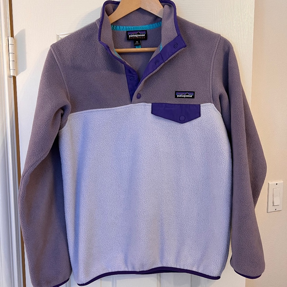 Patagonia Synchilla Fleece Pullover